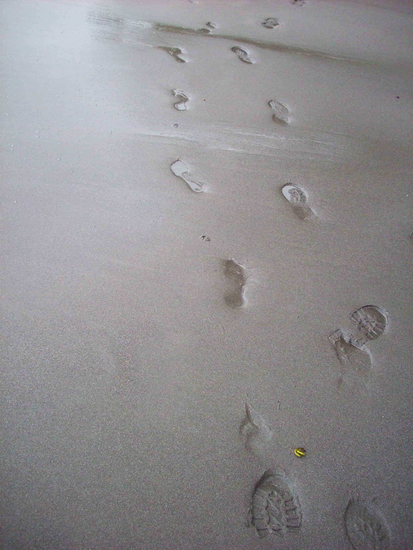 nature sand footprints free photo