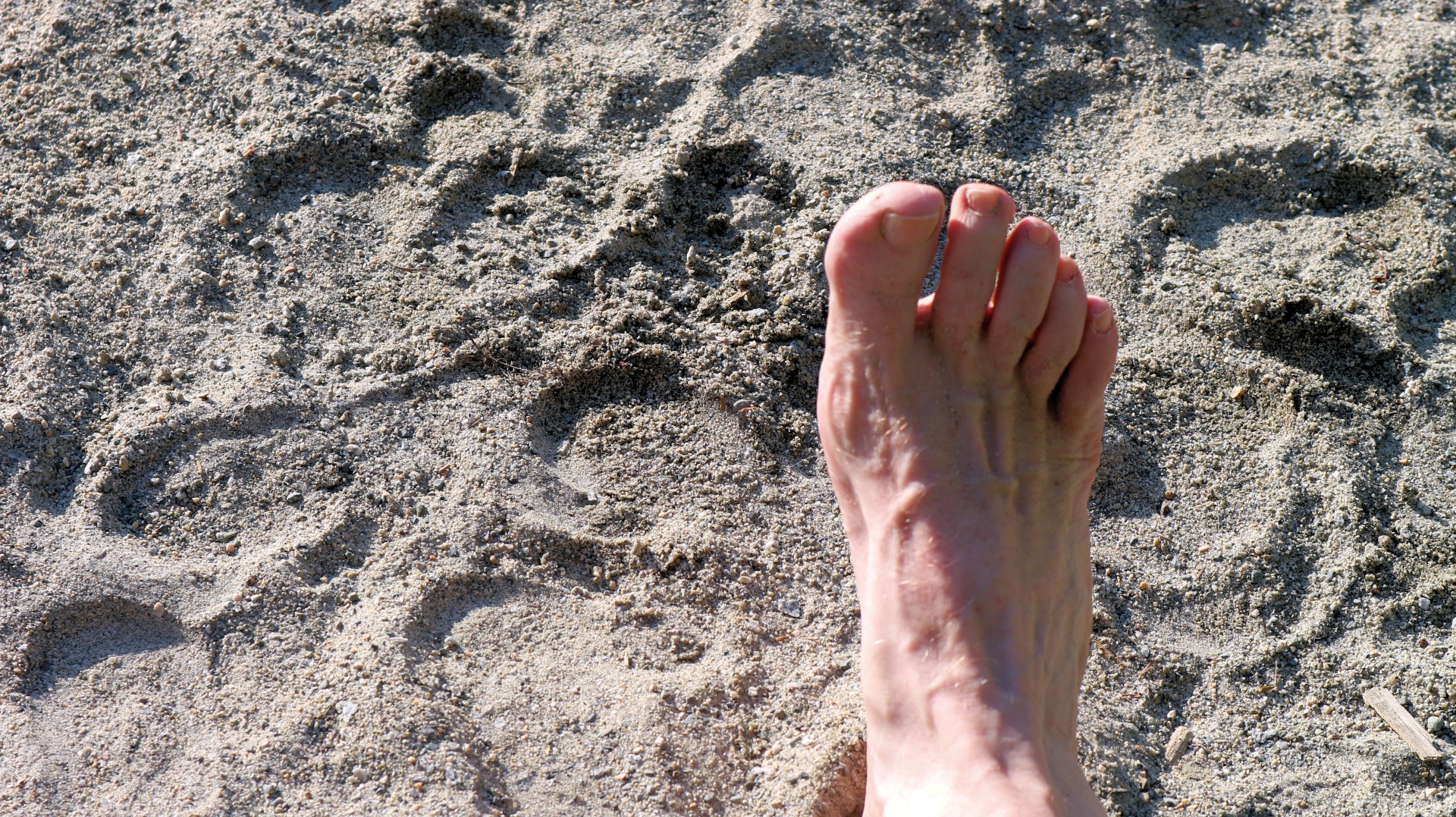 foot prints sand free photo