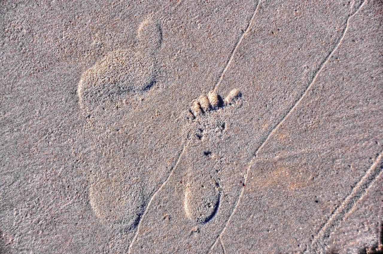 foot step sand sea free photo