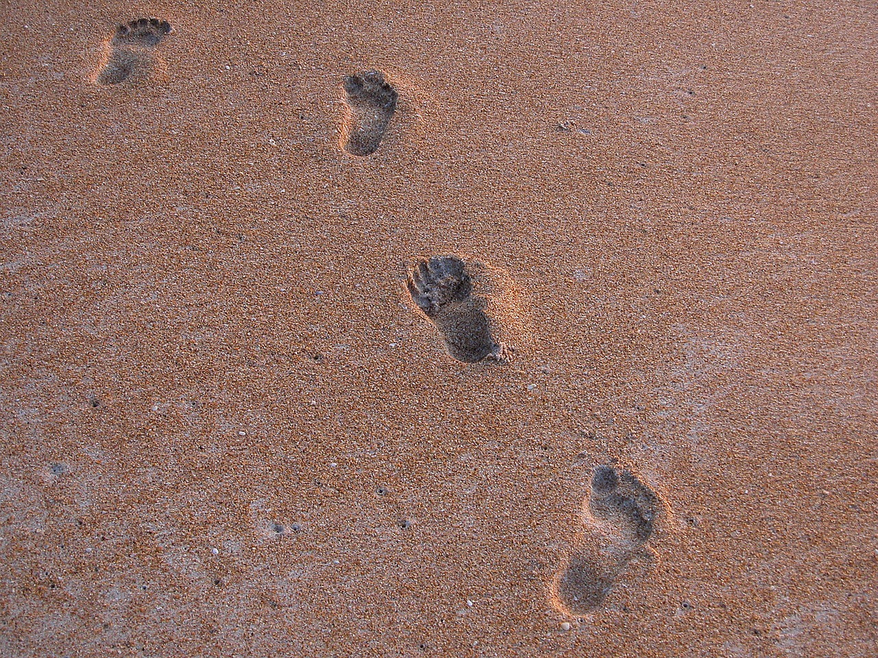 foot steps beach imprint free photo