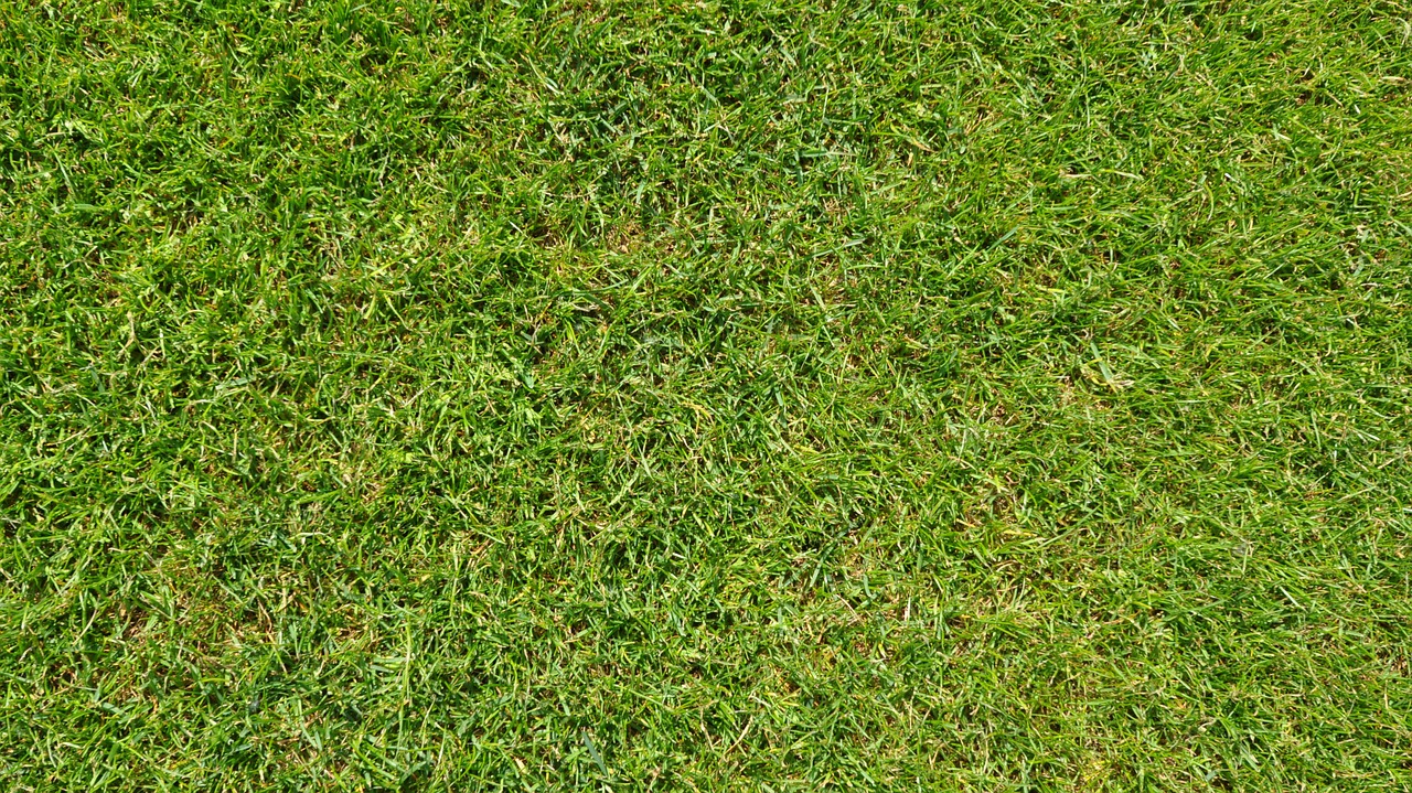 grass green football free photo