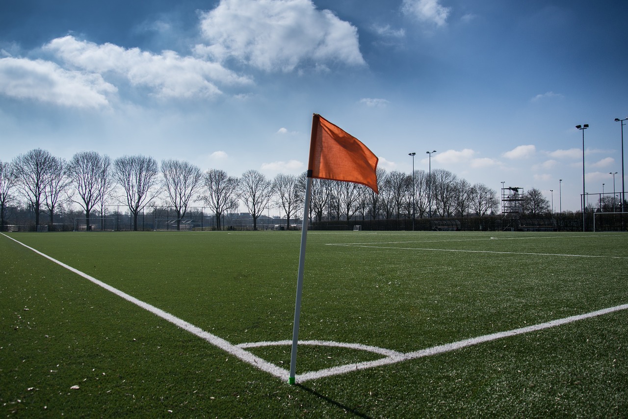 football soccer pitch free photo