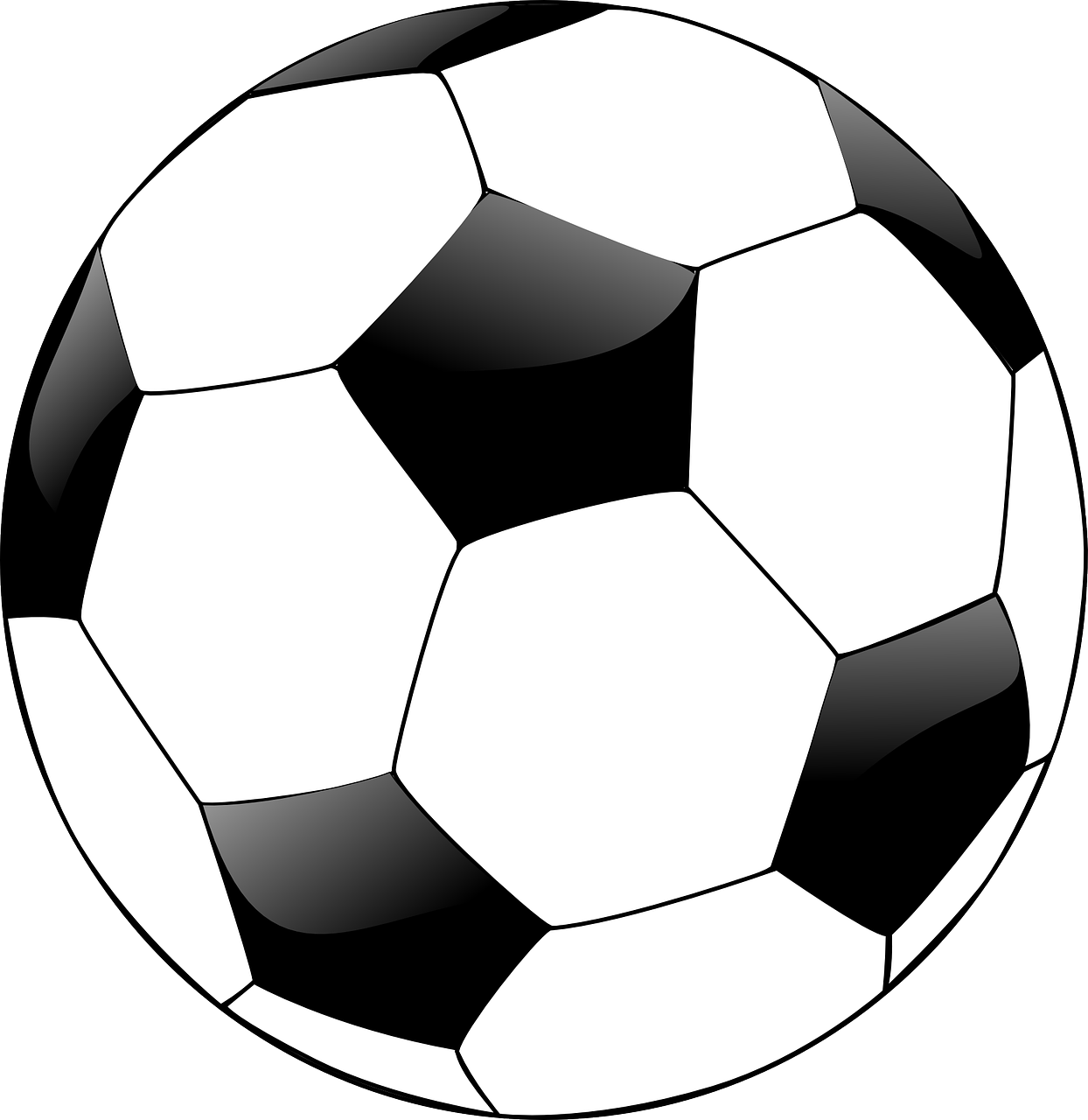 football soccer ball free photo