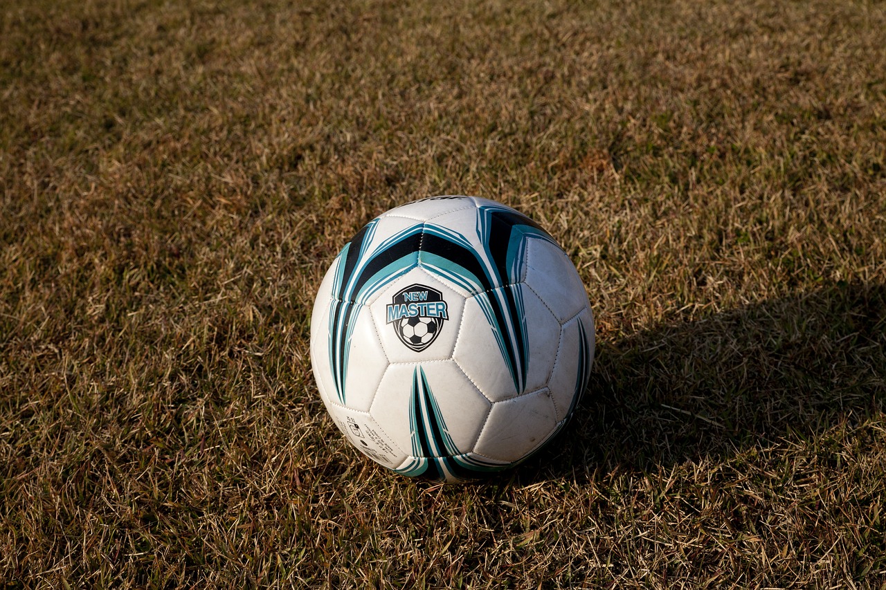 football grass ball free photo