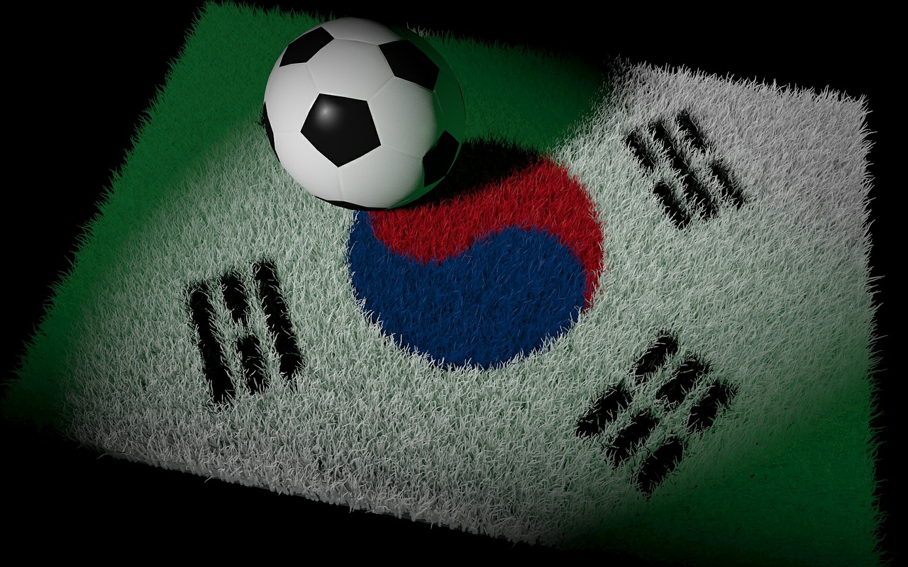 football world championship korea free photo