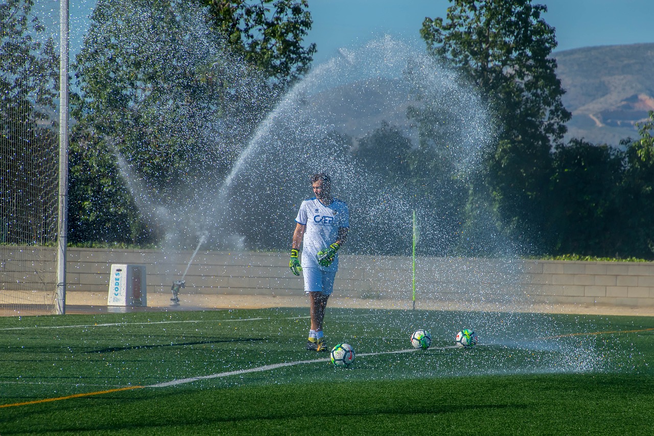 football  balloon  balls free photo