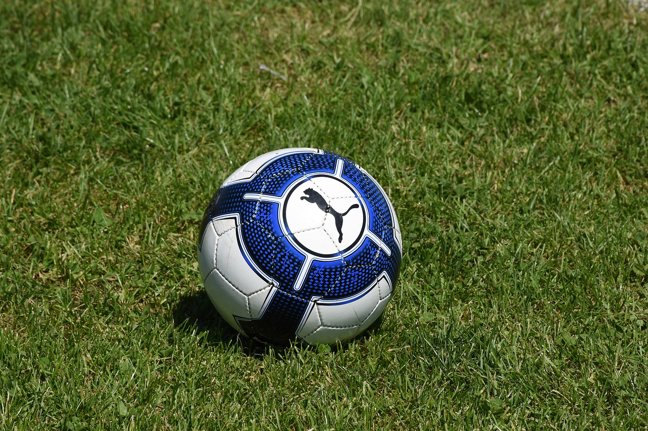 football  ball  puma free photo
