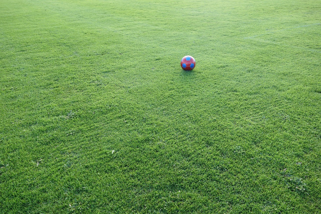 football sports ground ball free photo