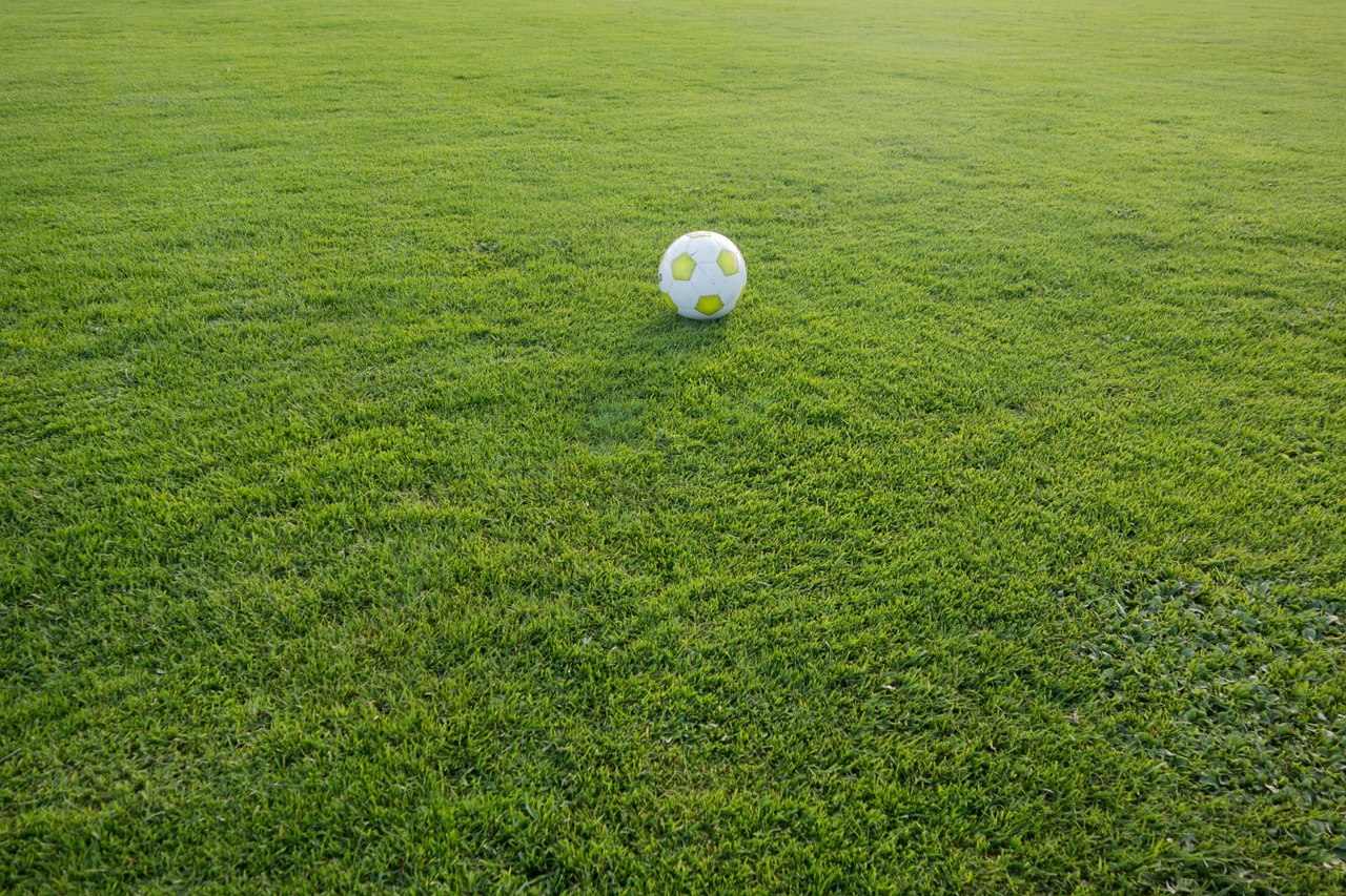 football sports ground ball free photo