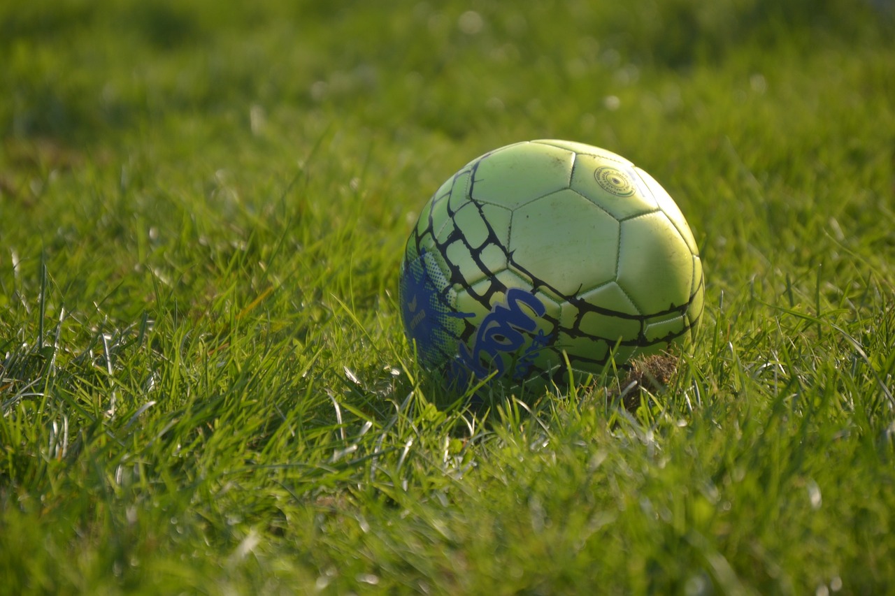 football ball grass free photo