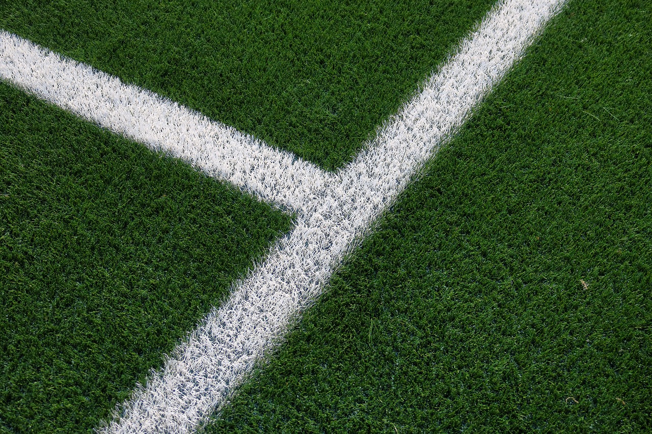 football field  artificial turf  mark free photo