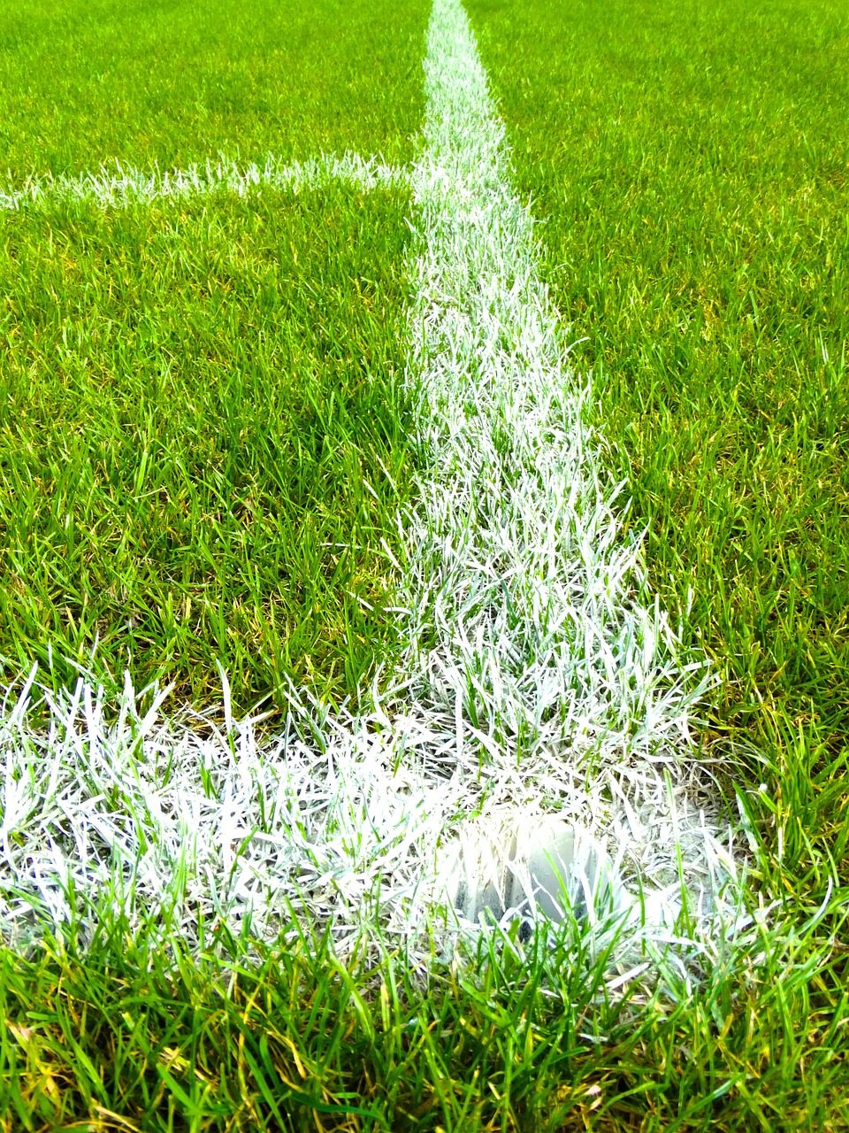 football field corner grass free photo