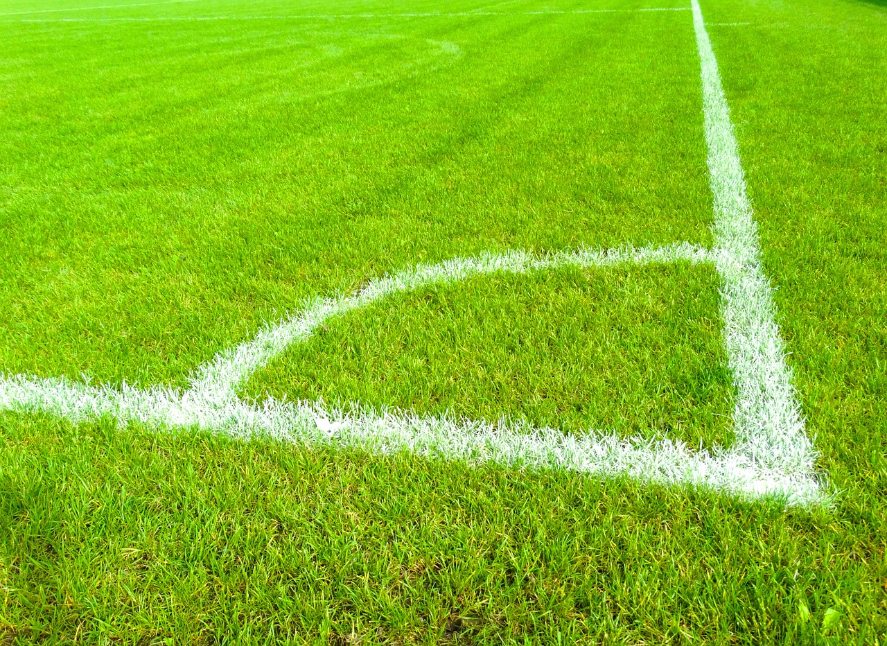 football field grass mark free photo