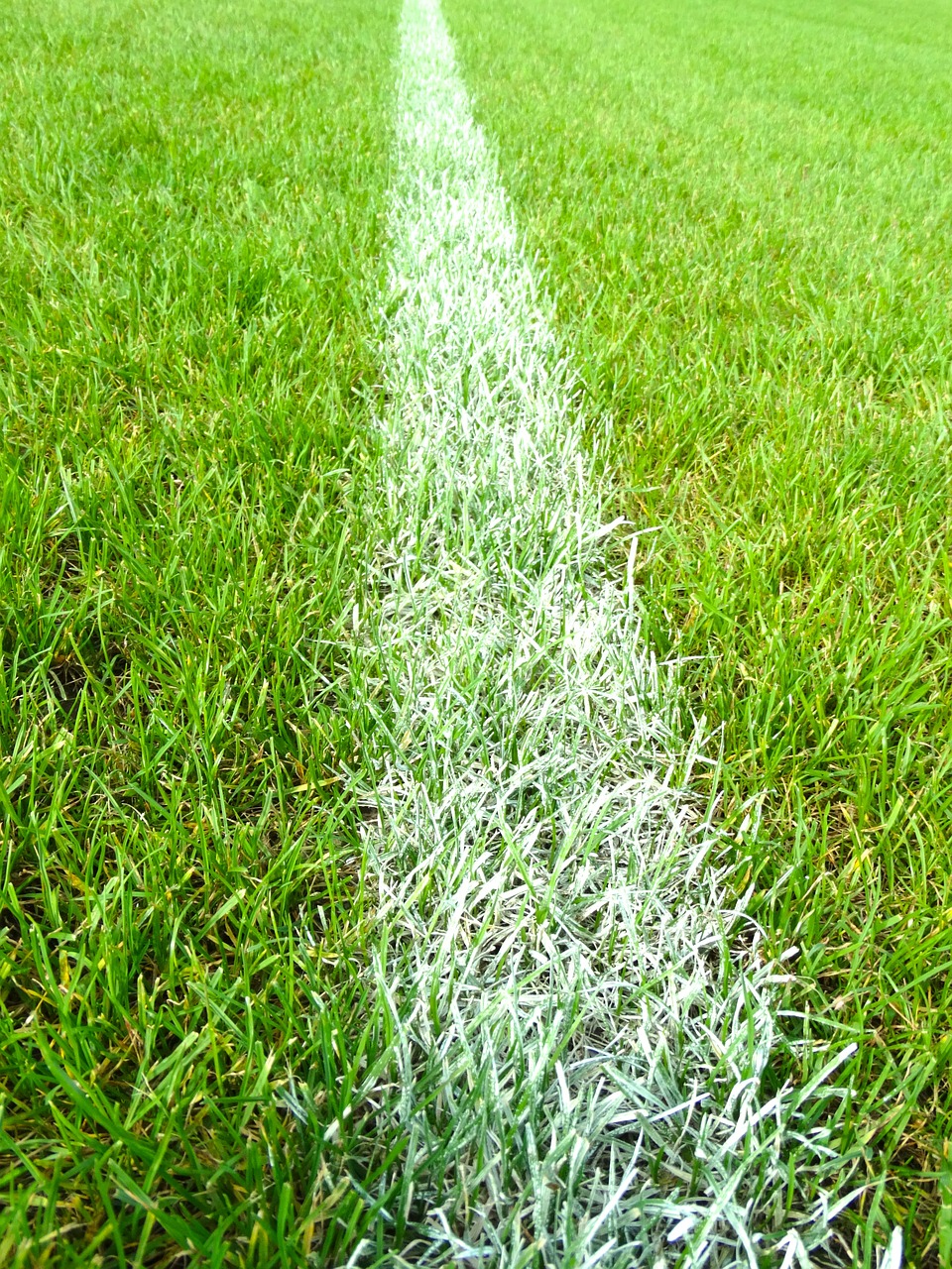 football field line mark free photo