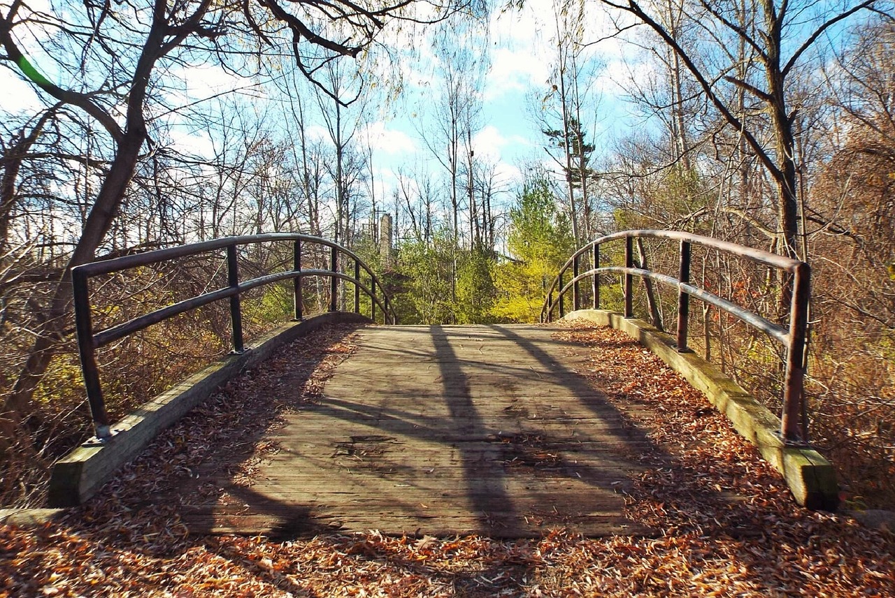 footbridge autumn fall free photo