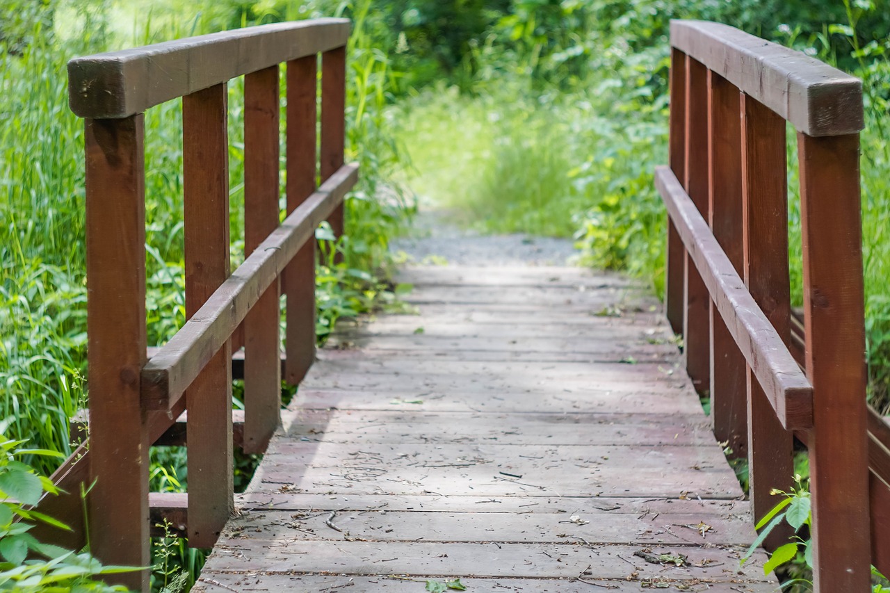 footbridge bridge wooden bridge free photo