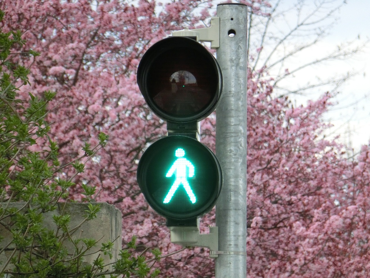 footbridge go traffic lights free photo