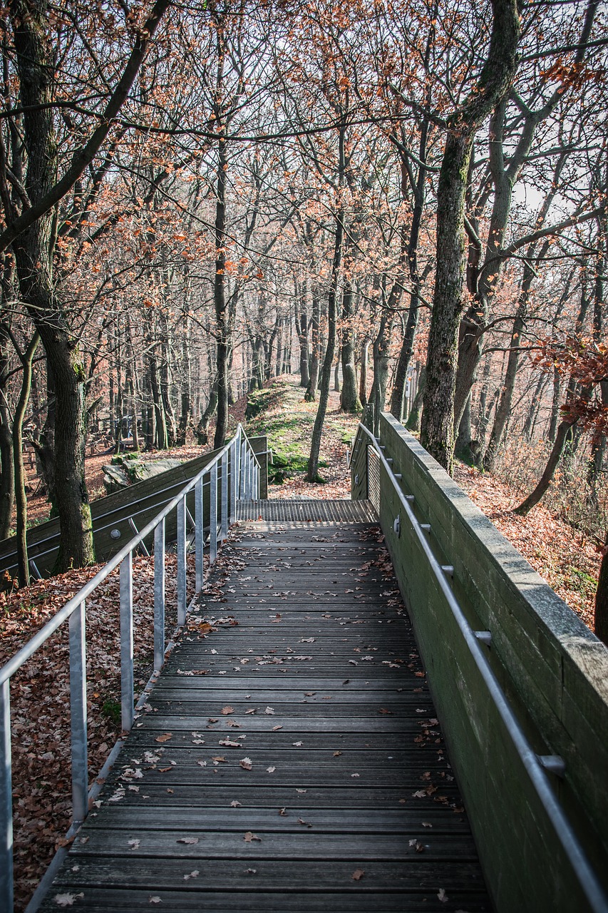 footbridge  path  nature free photo