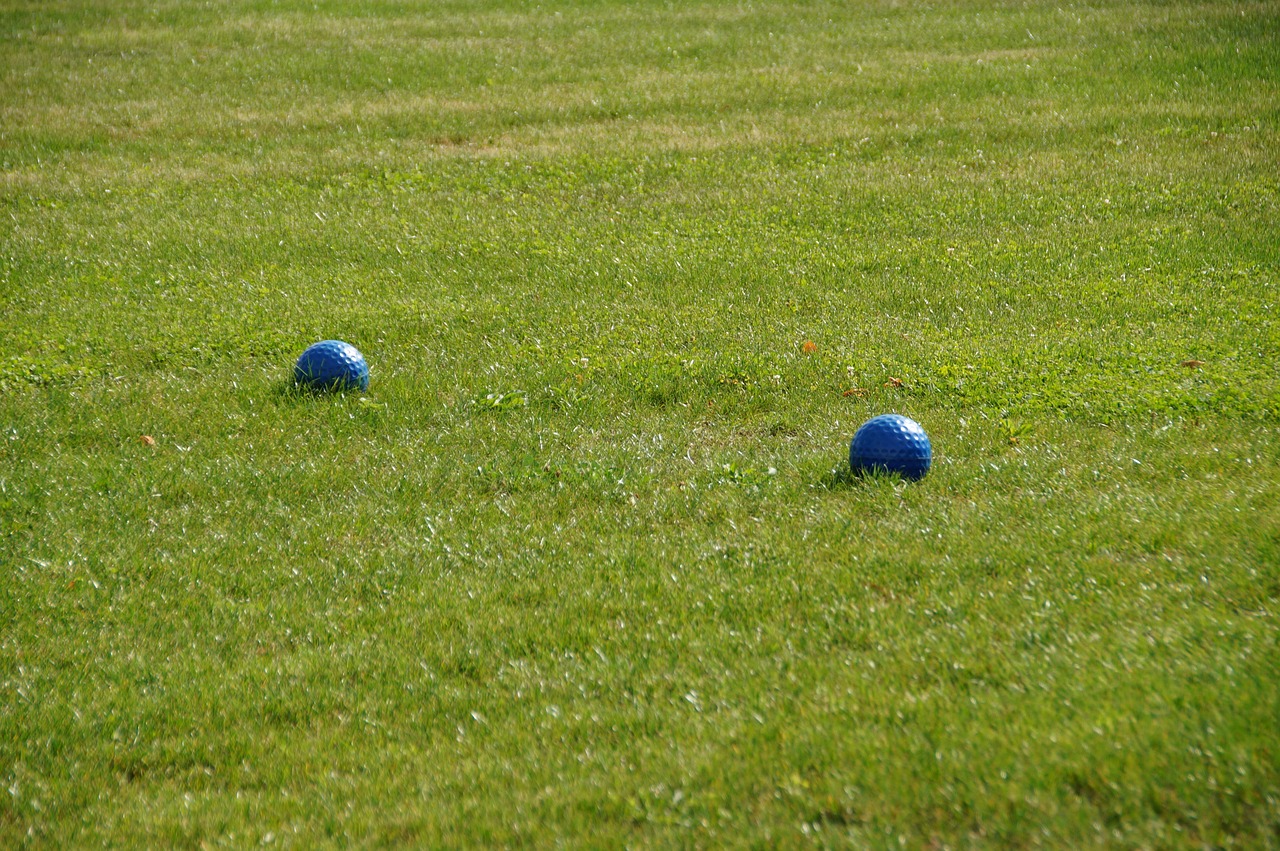 footgolf field grass free photo