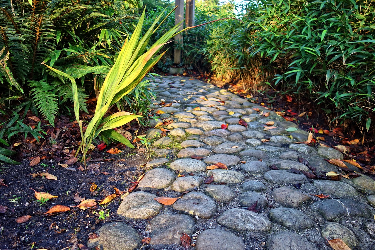 footpath cobblestone cobble path free photo