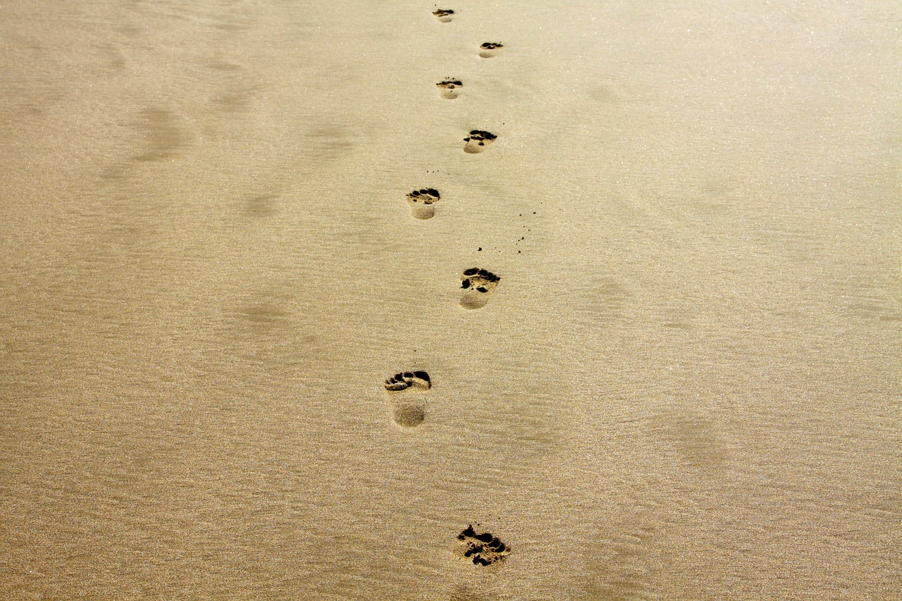 footprint sand alone free photo