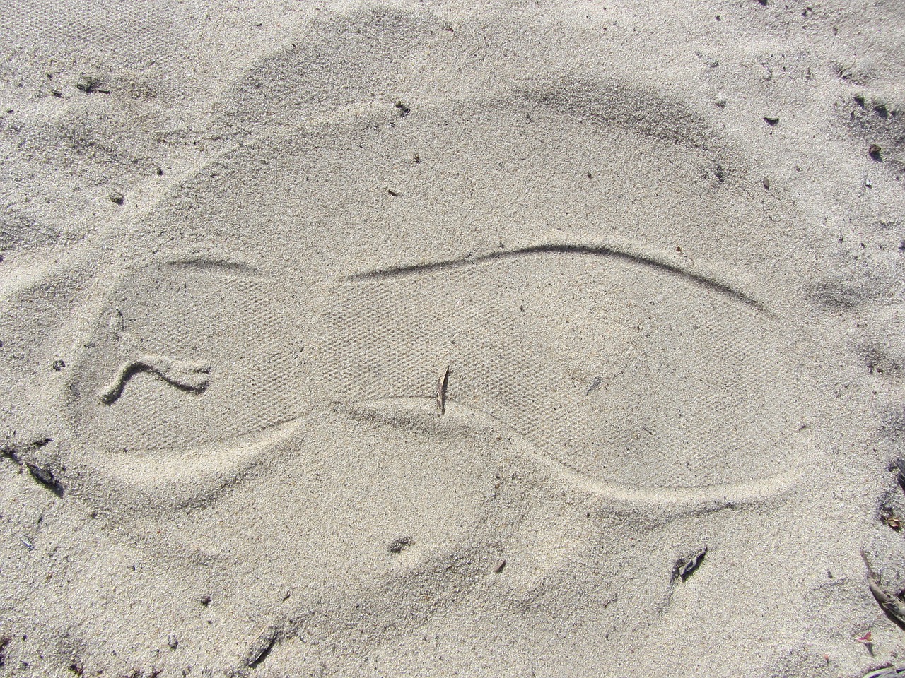 footprint beach traces free photo