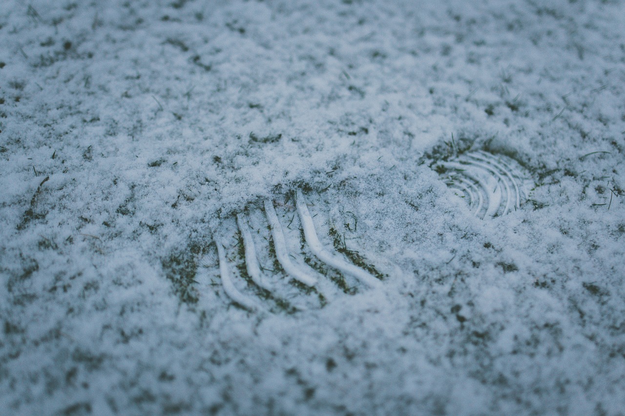footprint snow winter free photo