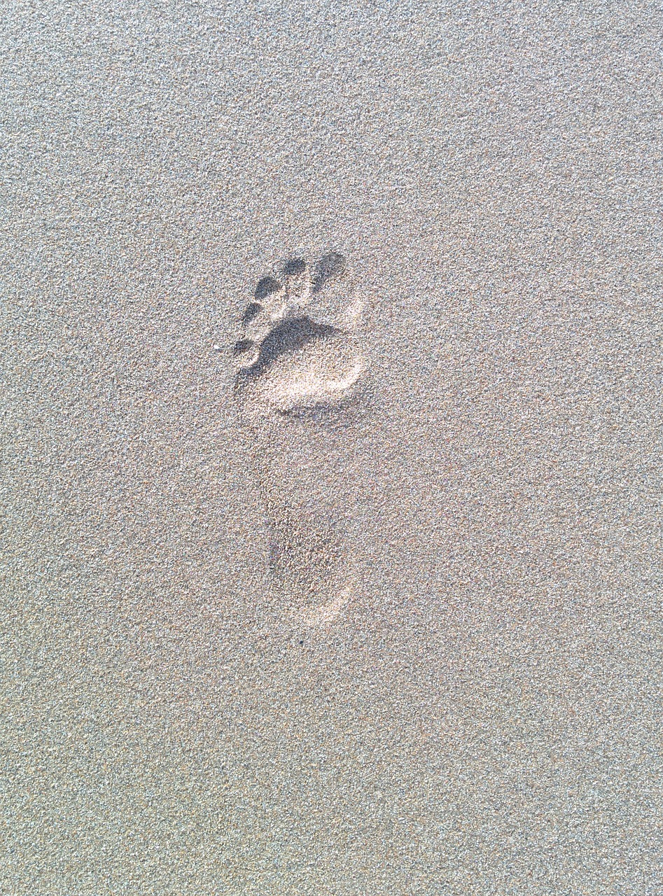footprint foot sand free photo