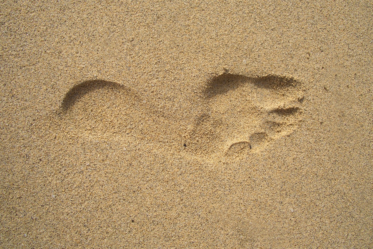 footprint sand tracks in the sand free photo