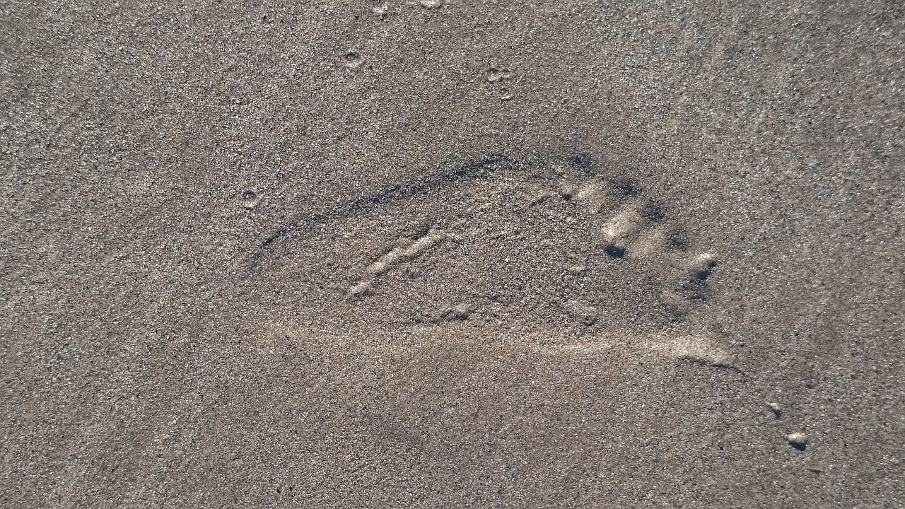 footprint beach foot free photo