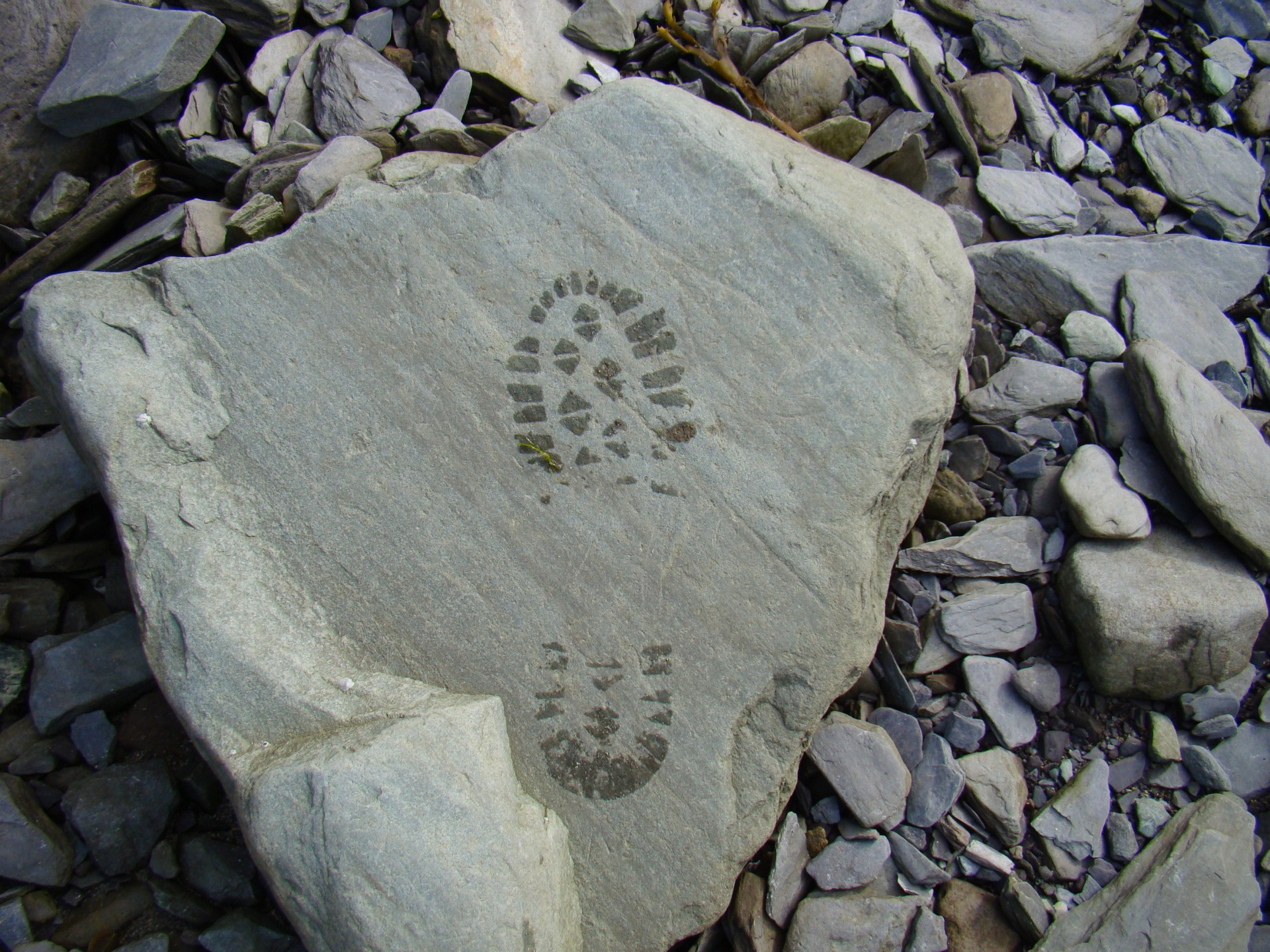 beach sea rock free photo