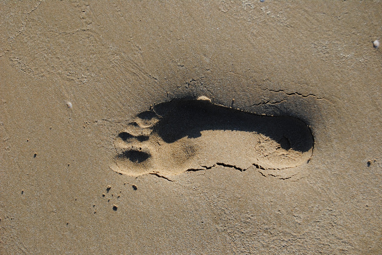 footprint beach cadiz free photo