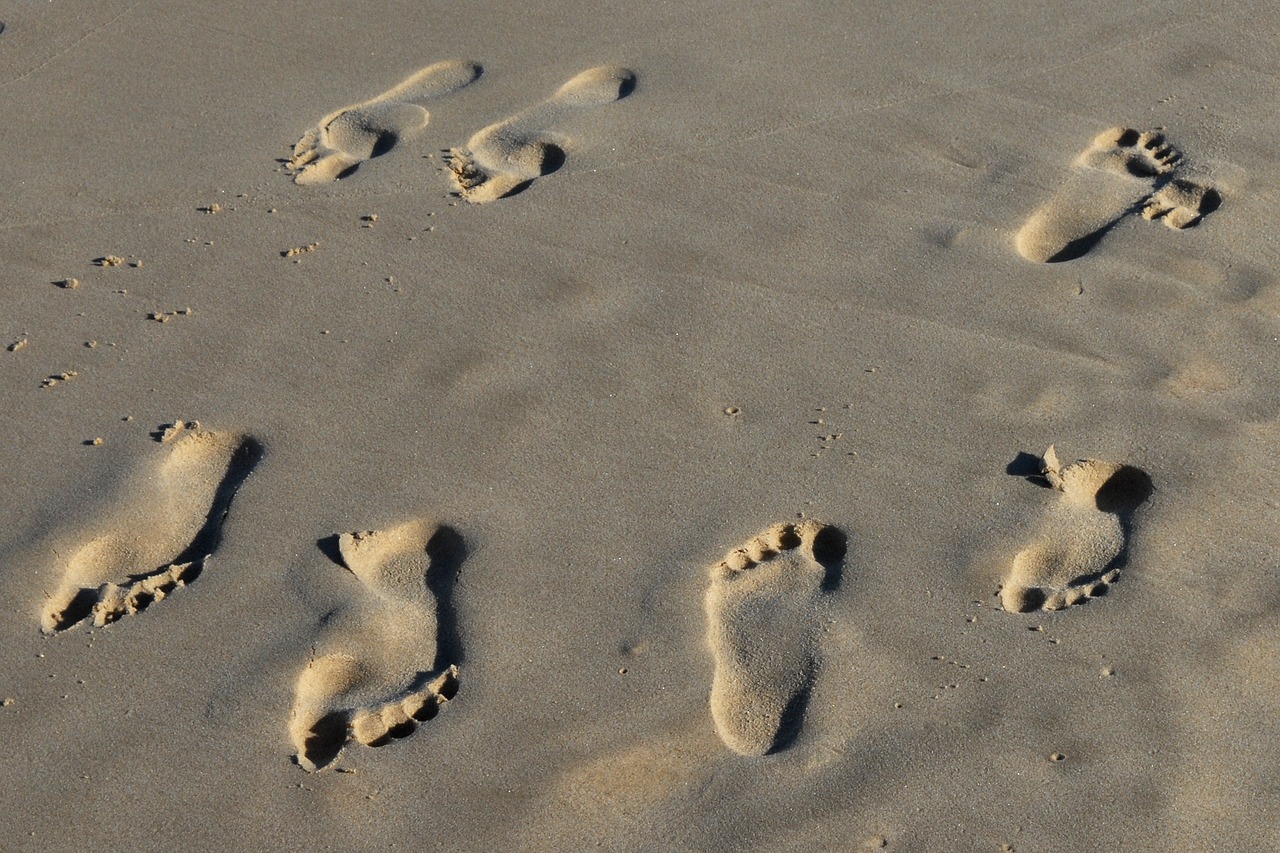 footprint tracks in the sand beach free photo