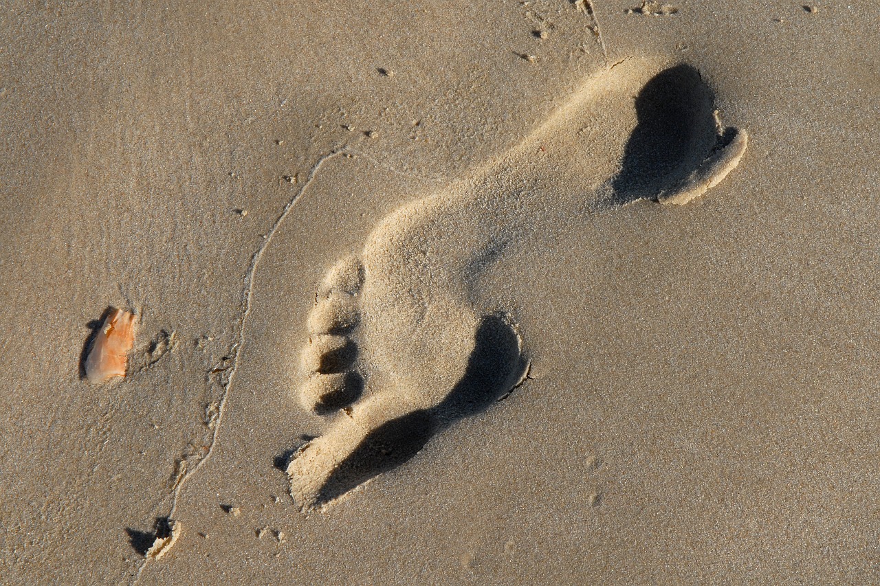 footprint tracks in the sand sand free photo