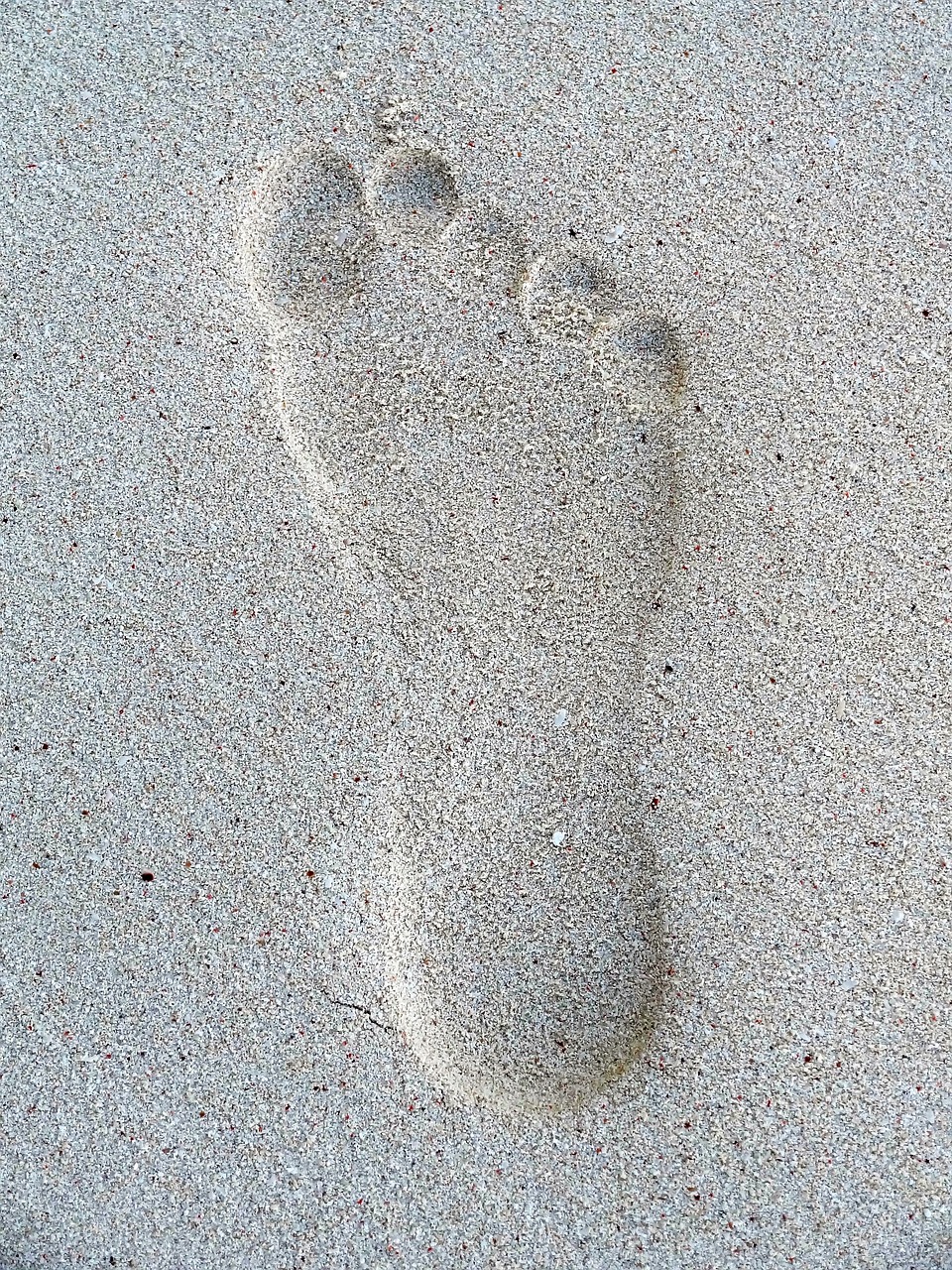 footprint sand beach foot free photo