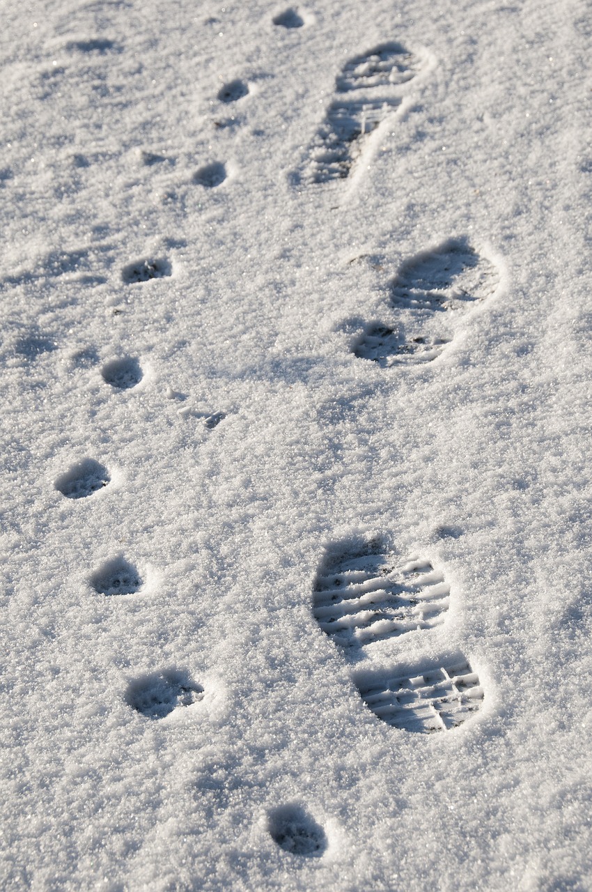 footprint snow impression free photo