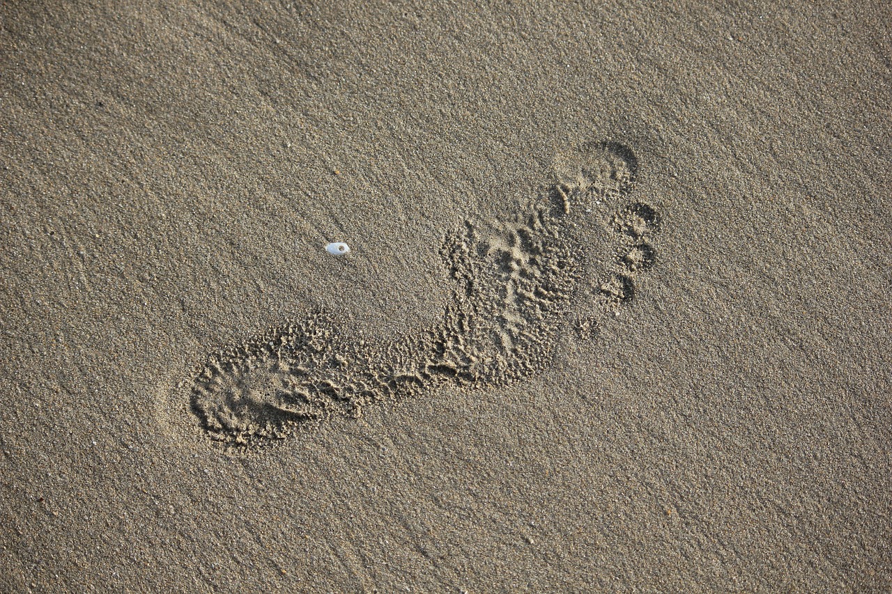 footprint foot sand free photo