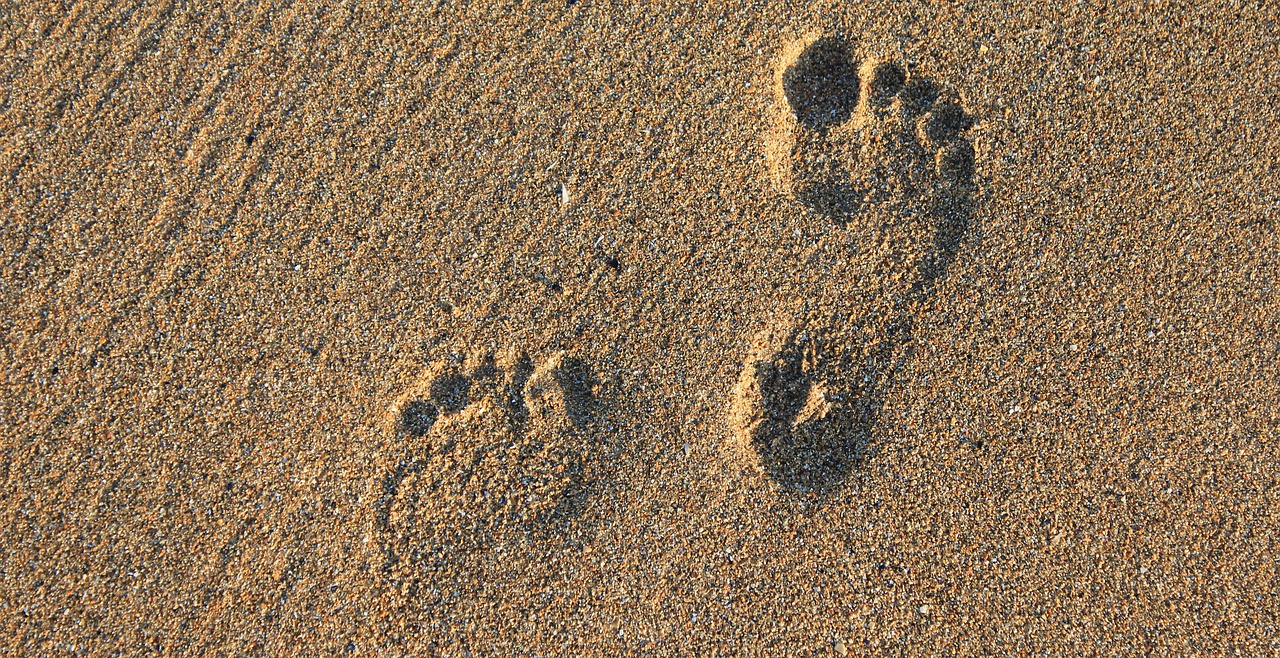 footprint footstep imprint free photo