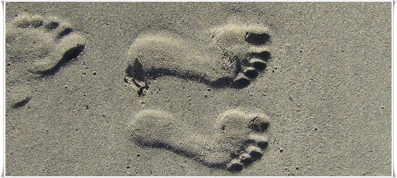 footprint sand summer free photo
