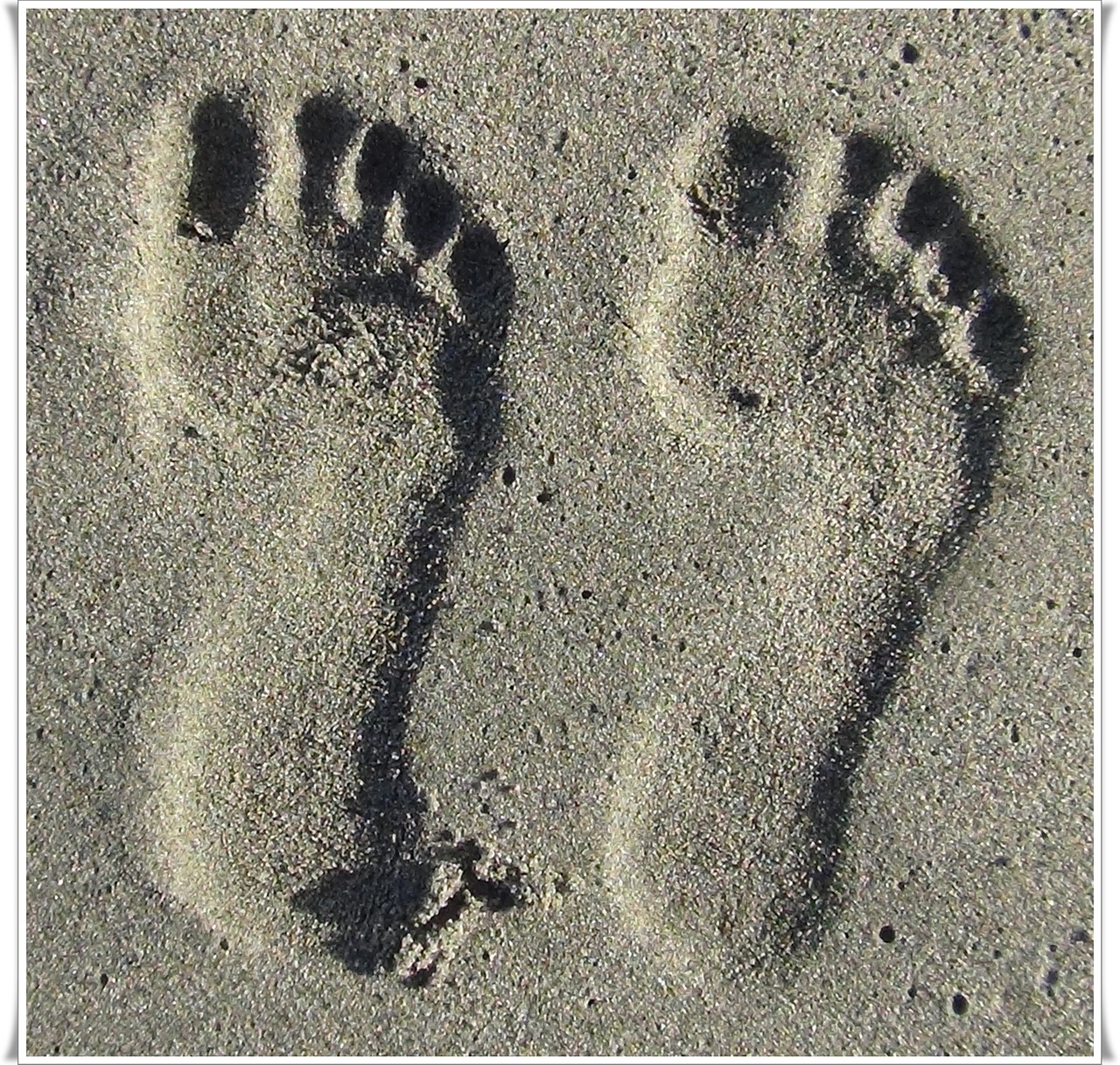 footprint sand summer free photo