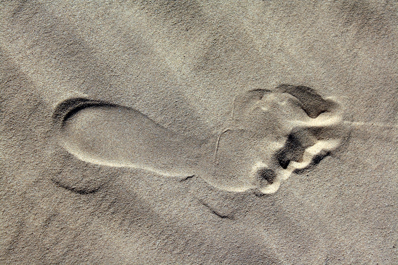 footprint sand beach free photo