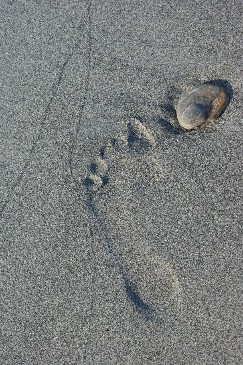 footprint sand direction free photo
