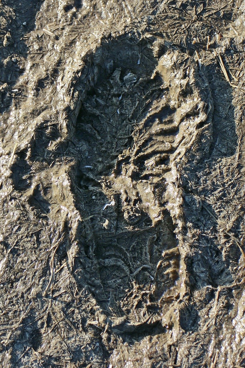 footprint reprint trace free photo