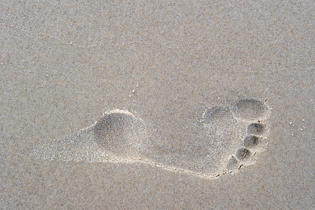 footprint foot toes free photo