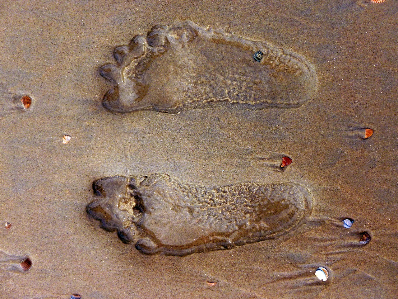 footprint feet sand free photo