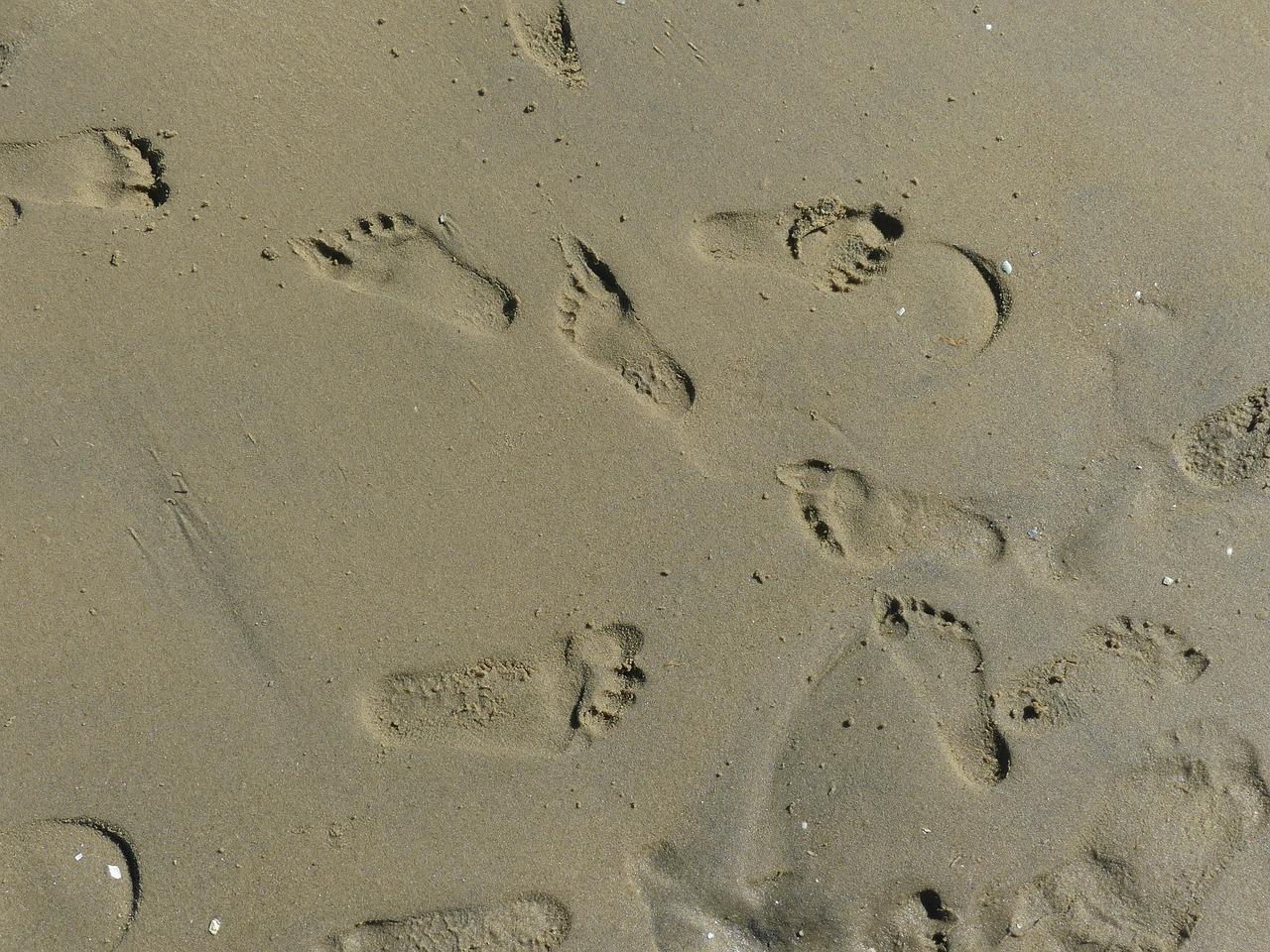 footprint beach sand free photo