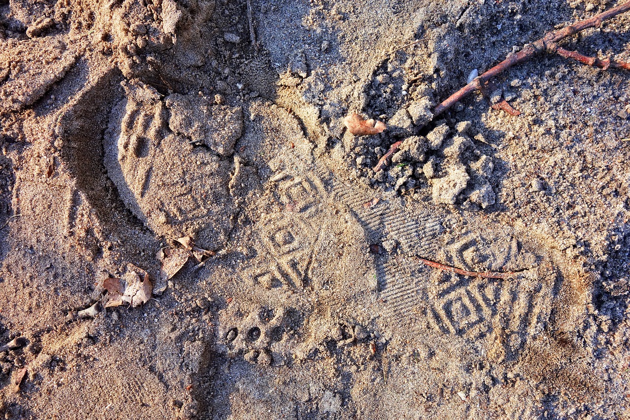 footprint footstep human free photo