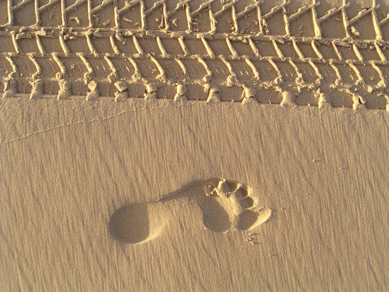 footprint footprints sand free photo