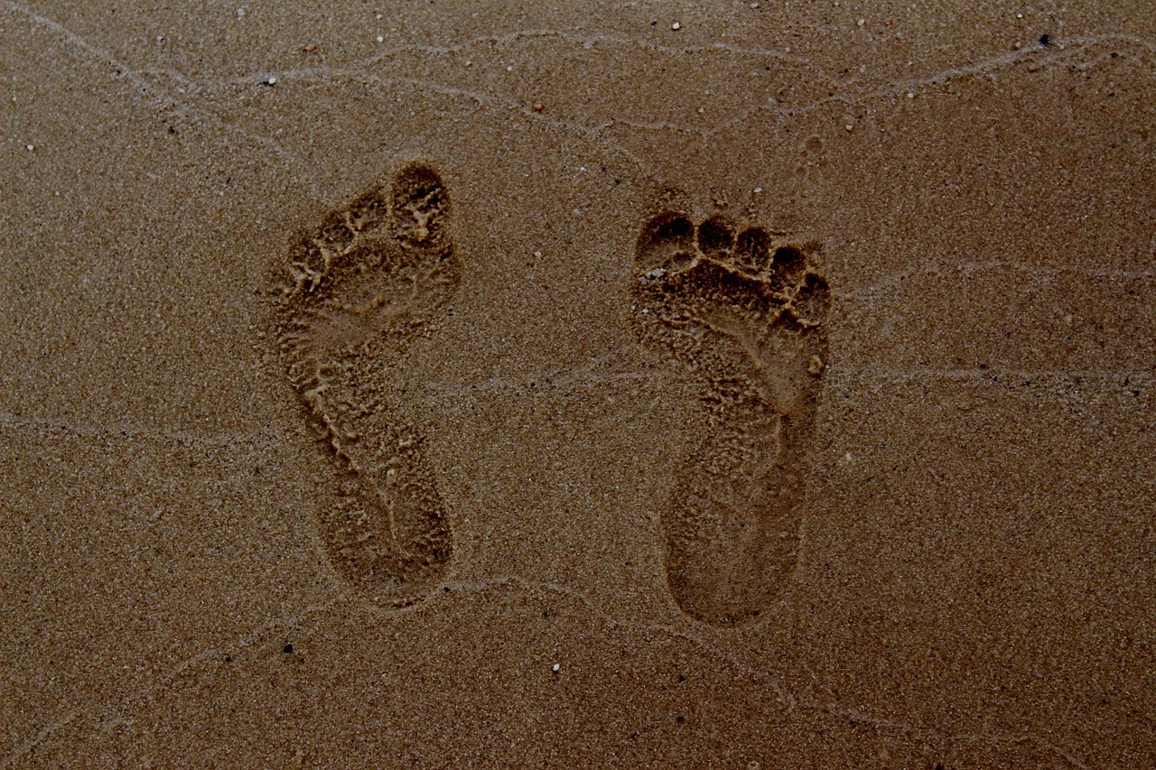 footprint  summer  sea free photo