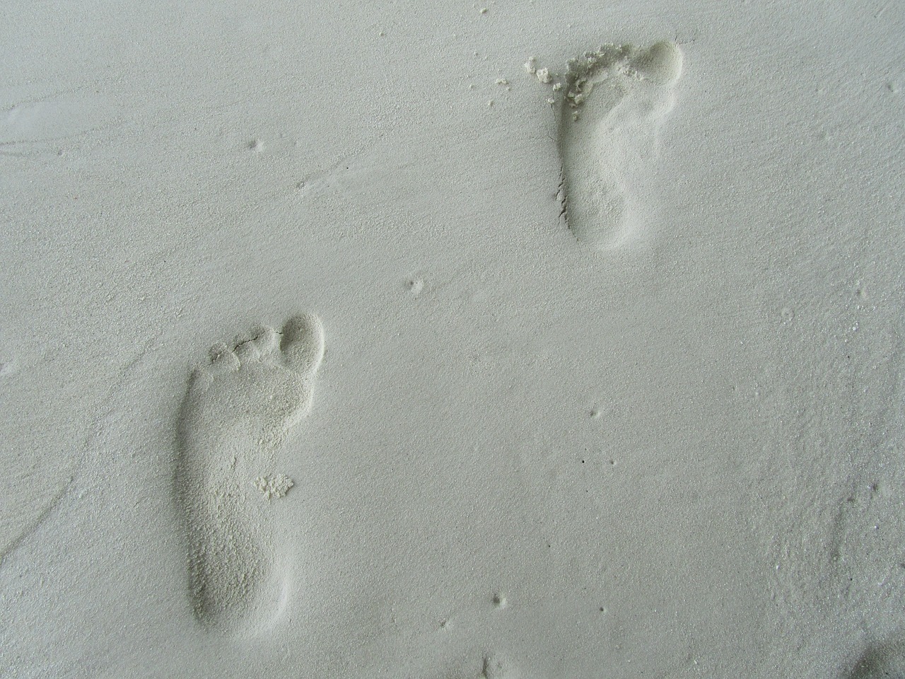 footprint feet tracks in the sand free photo